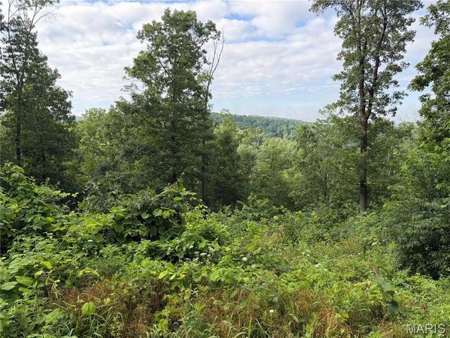 Cr 453 Lots 393, Piedmont, MO 63957