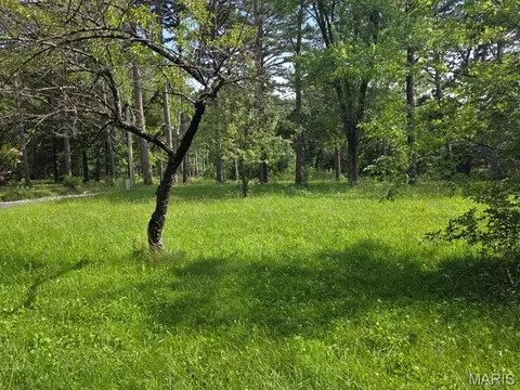 11507 Cooper Dr, Licking, MO 65542 photo 10