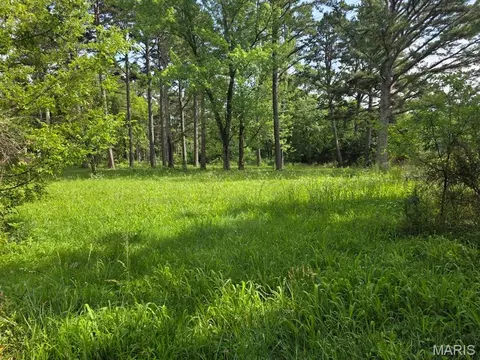 11507 Cooper Dr, Licking, MO 65542 photo 11