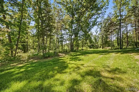 442 Shady Trail Dr, Troy, MO 63379 photo 41