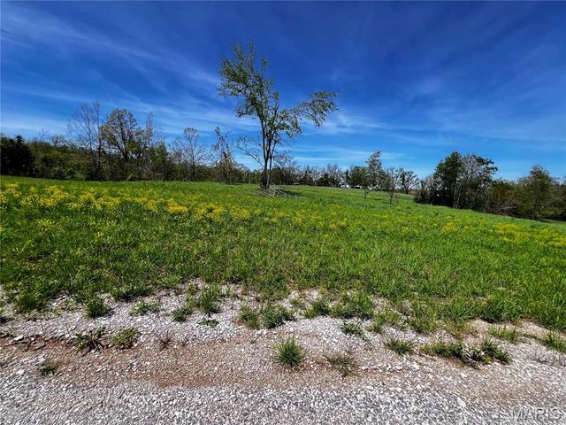 1009 Legacy Ln, Perryville, MO 63775