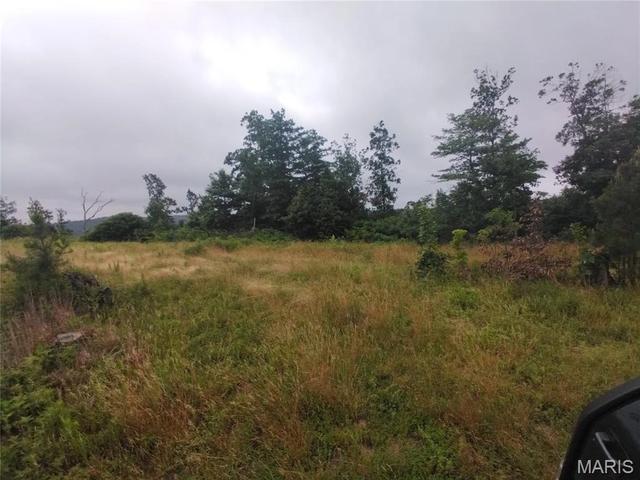 4 Highway O, Belleview, MO 63623