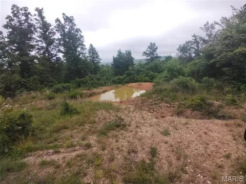 3 Tract 3 Off Highway O, Belleview, MO 63623 photo 4
