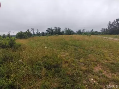 3 Tract 3 Off Highway O, Belleview, MO 63623