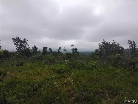 3 Tract 3 Off Highway O, Belleview, MO 63623 photo 5