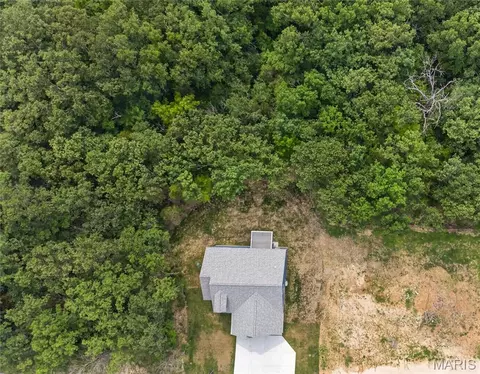 1665 Scenic Dr, Festus, MO 63028 photo 41