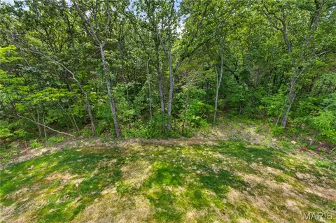 1665 Scenic Dr, Festus, MO 63028 photo 31