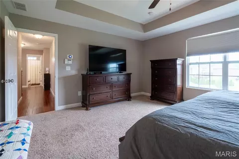 Other - 1331 Timber Ridge Trace Dr, O'fallon, IL 62269 photo 7 of 8