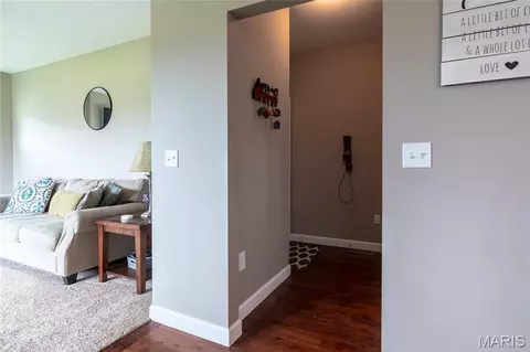 Entry Way - 1331 Timber Ridge Trace Dr, O'fallon, IL 62269 photo 3 of 7