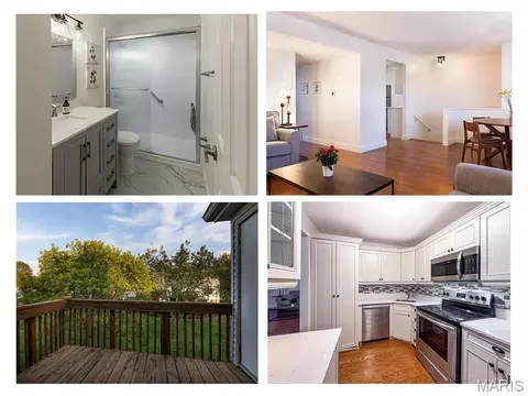 1724 Redbird Cv, Saint Louis, MO 63144