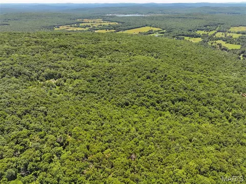 View/Area - 1 King School Road, Ironton, MO 63650 photo 3 of 8