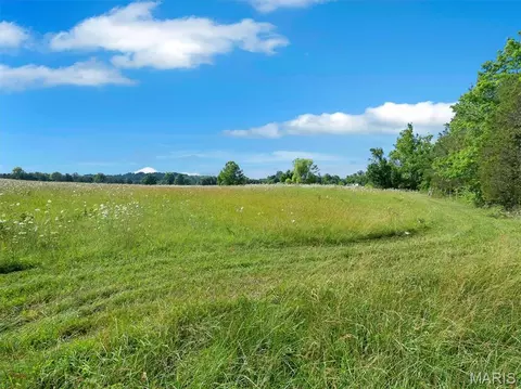 0000 Highway E, Fredericktown, MO 63645 photo 27