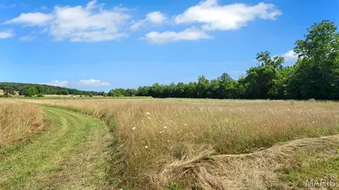 0000 Highway E, Fredericktown, MO 63645 photo 33