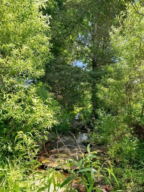 0000 Highway E, Fredericktown, MO 63645 photo 39