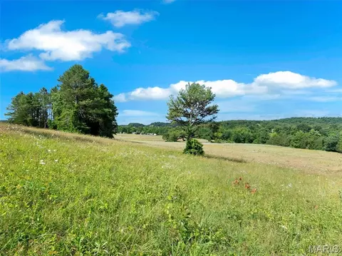 0000 Highway E, Fredericktown, MO 63645 photo 28