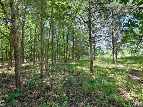 0000 Highway E, Fredericktown, MO 63645 photo 41