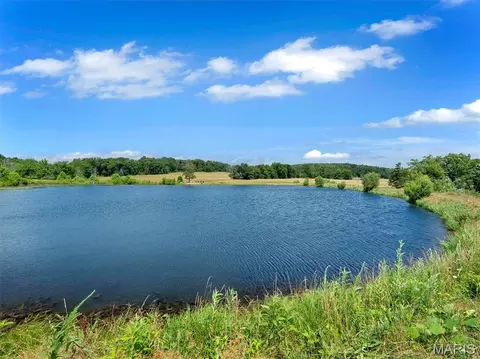 0000 Highway E, Fredericktown, MO 63645 photo 21