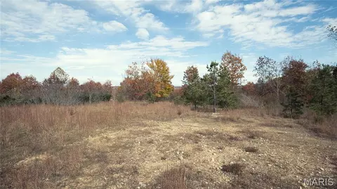 0 Highway 49 #TRACT 9, Piedmont, MO 63957