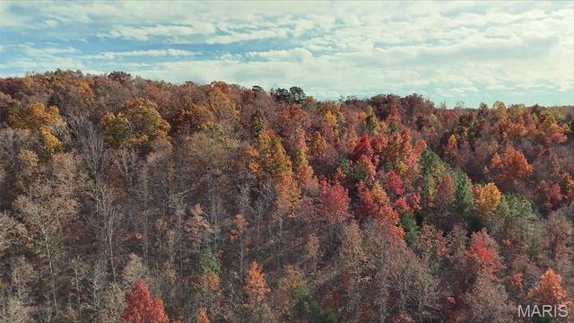 0 Highway 49 #TRACT 5, Piedmont, MO 63957