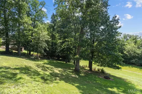 Exterior - 24 Hickory Ct, Arnold, MO 63010 photo 5 of 10
