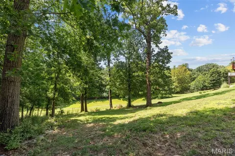 Exterior - 24 Hickory Ct, Arnold, MO 63010 photo 6 of 10