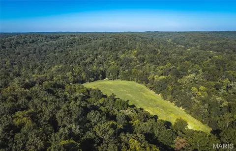 Undisclosed, Steelville, MO 65565