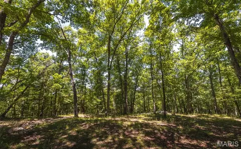 Exterior - 7287 Highway 47, Union, MO 63084 photo 4 of 10