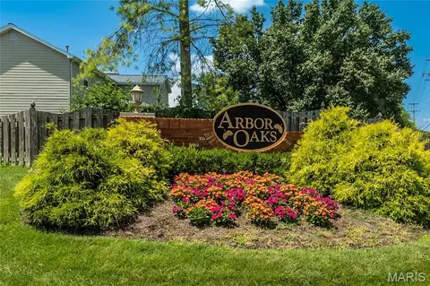 Other - 414 Arbor Glen Dr, Ballwin, MO 63021 photo 18 of 18