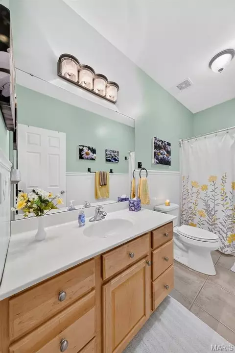 Bath - 224 Bennington Dr, Troy, MO 63379 photo 4 of 6