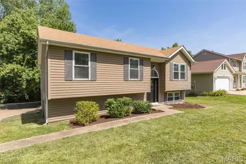 Exterior - 1408 Castle Mill Dr, Arnold, MO 63010 photo 6 of 8
