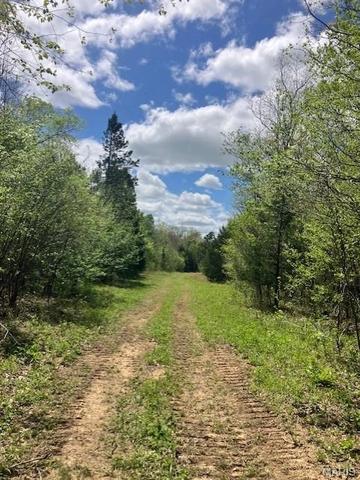 248 Madison Cr 410, Fredericktown, MO 63645