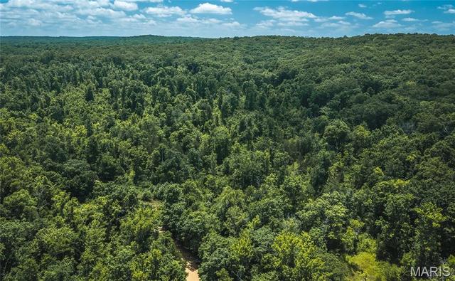 000 Czar Tower Rd, Steelville, MO 65565