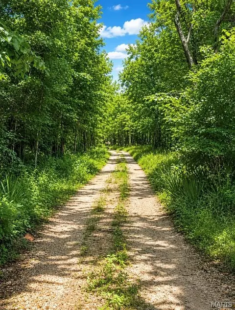 Other - 11327 Hwy E, Arcadia, MO 63621 photo 16 of 21