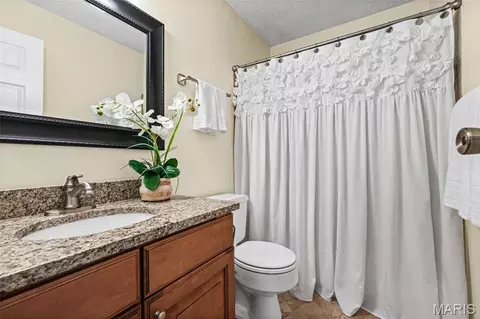 Bath - 724 Sandy Summit Dr, Ballwin, MO 63021 photo 1 of 4
