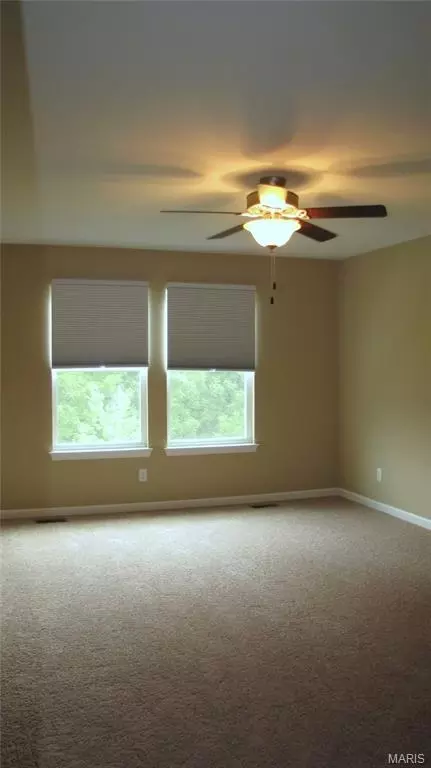 110 Fallon Villa Ct, O'fallon, MO 63368 photo 8