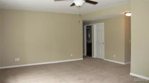 110 Fallon Villa Ct, O'fallon, MO 63368 photo 12