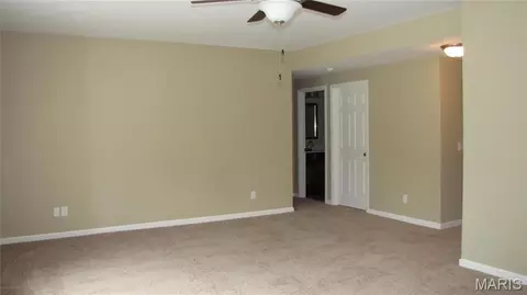 Other - 114 Fallon Villa Ct, O'fallon, MO 63368 photo 3 of 5