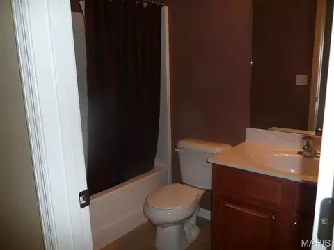 Bath - 118 Fallon Villa Ct, O'fallon, MO 63368 photo 3 of 4