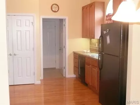 Other - 118 Fallon Villa Ct, O'fallon, MO 63368 photo 3 of 6