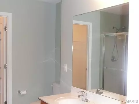 Bath - 118 Fallon Villa Ct, O'fallon, MO 63368 photo 1 of 4