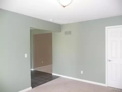 Living - 118 Fallon Villa Ct, O'fallon, MO 63368 photo 3 of 5