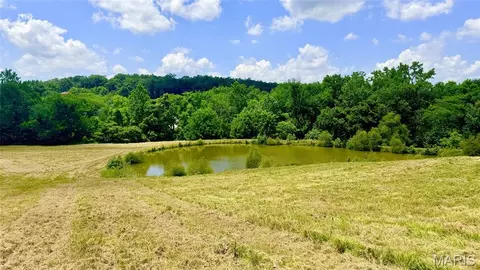 341 Linebacker Run, Jackson, MO 63755 photo 15
