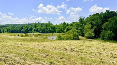 341 Linebacker Run, Jackson, MO 63755 photo 18