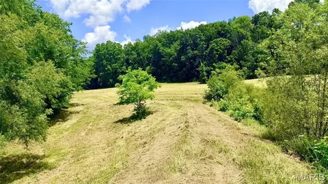 341 Linebacker Run, Jackson, MO 63755 photo 27