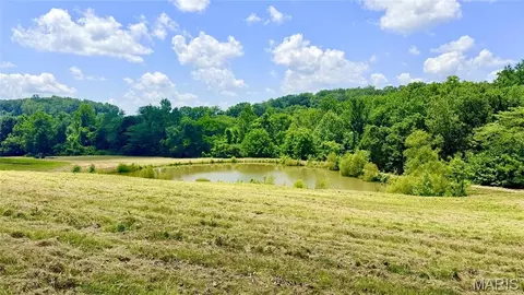 341 Linebacker Run, Jackson, MO 63755 photo 17