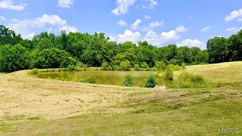 341 Linebacker Run, Jackson, MO 63755 photo 14