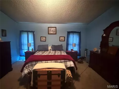 804 Walnut St, Hannibal, MO 63401 photo 13