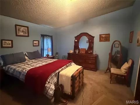 804 Walnut St, Hannibal, MO 63401 photo 12