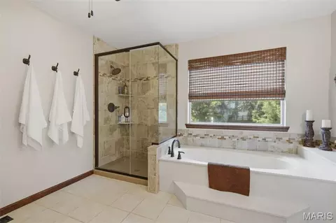Bath - 645 Arbor Haven Dr, Ballwin, MO 63021 photo 3 of 5