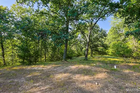 Exterior - 145 Eagle Ridge Ln, Winfield, MO 63389 photo 9 of 14